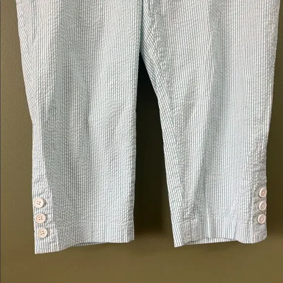Talbots Blue White Striped Cropped Pants Elastic Waist Sides Sz 14W Plus - Picture 3 of 7